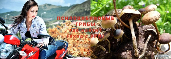 кристаллы Нягань
