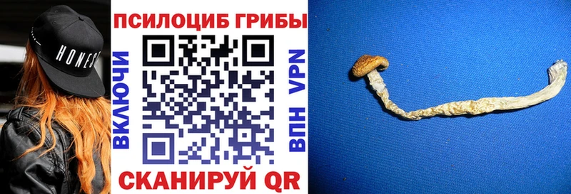 Галлюциногенные грибы прущие грибы  Луза 
